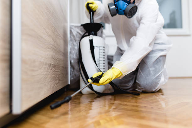 Best Affordable Pest Control Services  in Henryetta, OK