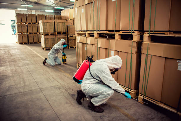Best Pest Inspection Near Me  in Henryetta, OK