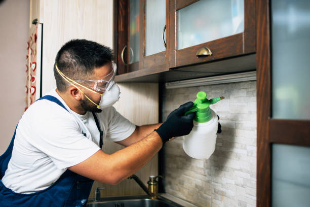 Best Termite Control Services  in Henryetta, OK