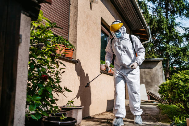 Best Bed Bug Extermination  in Henryetta, OK