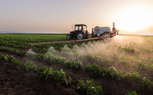  Henryetta, OK Pest Control Pros