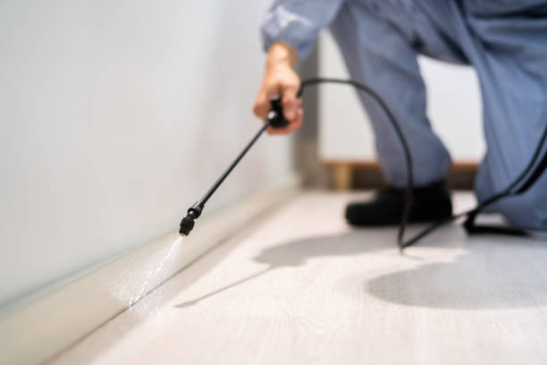 Best Mosquito Control Services  in Henryetta, OK