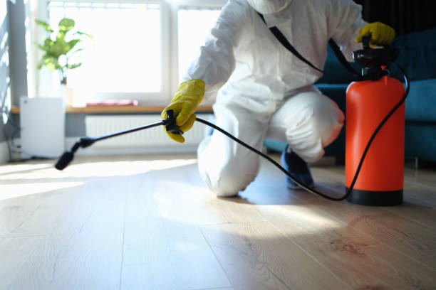 Best Local Pest Control Services  in Henryetta, OK