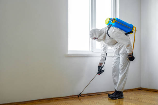 Best Pest Removal Services  in Henryetta, OK