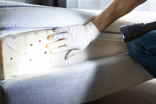 Best Commercial Pest Control Services  in Henryetta, OK