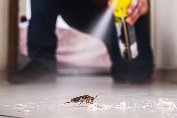 Flea Control Services in Henryetta, OK