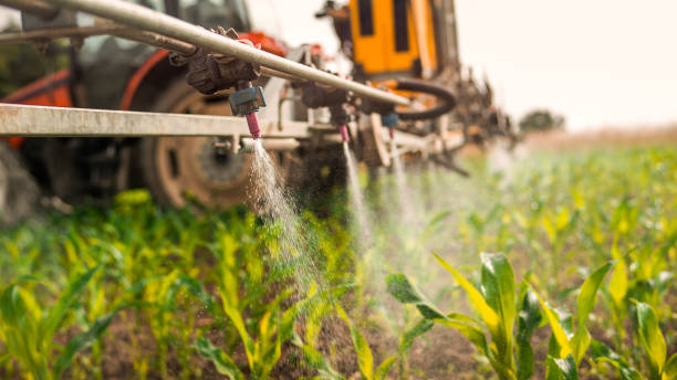 Best Pest Removal Services  in Henryetta, OK